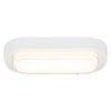LED Bulkhead Style Oval 24W CCT White