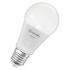 SMART+ MATTER Multicolor Classic A75 9.5W E27