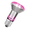 LED Star Grow Lamp Filament 100° 7.5W E27