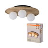 Decor Wood Nest Ceiling 1xG9 Brown