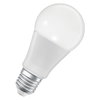 SMART+ ZIGBEE Tunable White Classic A60 9W E27