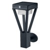 ENDURA Style Solar Bouquet Wall Sensor 6W Black