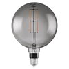 SMART+ Filament Globe Dimmable 42 6W 825 230V FIL SM E27