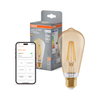 SMART+ MATTER Filament Dimmable Classic Edison 53 6W 824 Gold E27