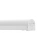 BAT CBO 600 V 18W ML 84065 WT