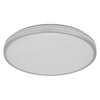 Orbis Caleb 490mm 36W 830 Silver