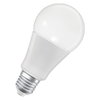 SMART+ MATTER  Classic A100 14W 827...865 TW E27