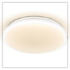 Essential Orbis Sensor 380mm 24W 830 White