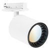 SMART+ MATTER Tracklight Osaka White Tunable White