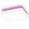 SMART+ Wifi Orbis Backlight White 350mm TW