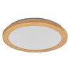 Orbis Disc 30CM 22W Click CCT IP44 Wood Decor