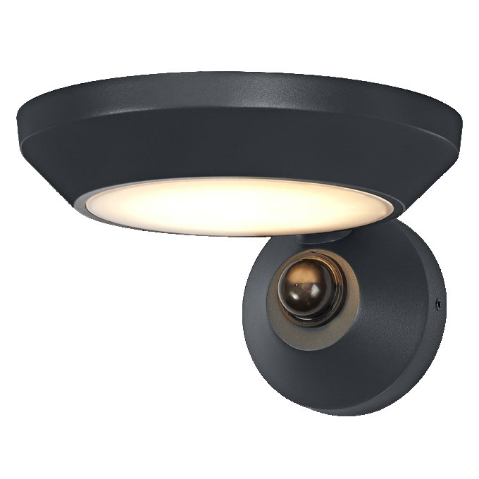 ENDURA Style Adjustable Spot IP65 Wall Sensor 12W Dark Grey