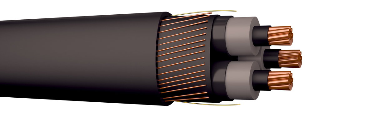 FXLJ-RMF-KOMBI 3X10/10 LT 12KV