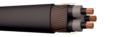 FXLJ-RMF-KOMBI 3X10/10 LT 12KV