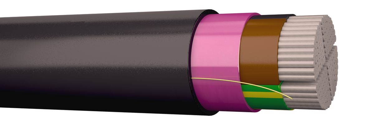 SE-N1XE-AS 4G150