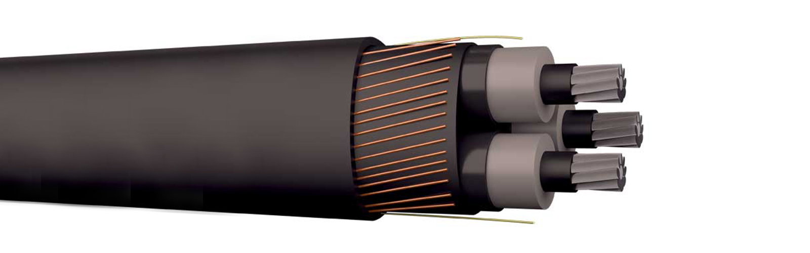 AXLJ-RMF-KOMBI 3X50/16 LT 24KV
